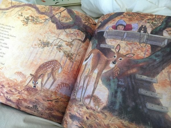 Our Favorite Books for Autumn Enjoyment @JessicaMWhite.com