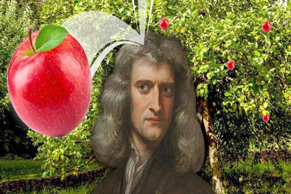 Myth Debunked: Newton's apple