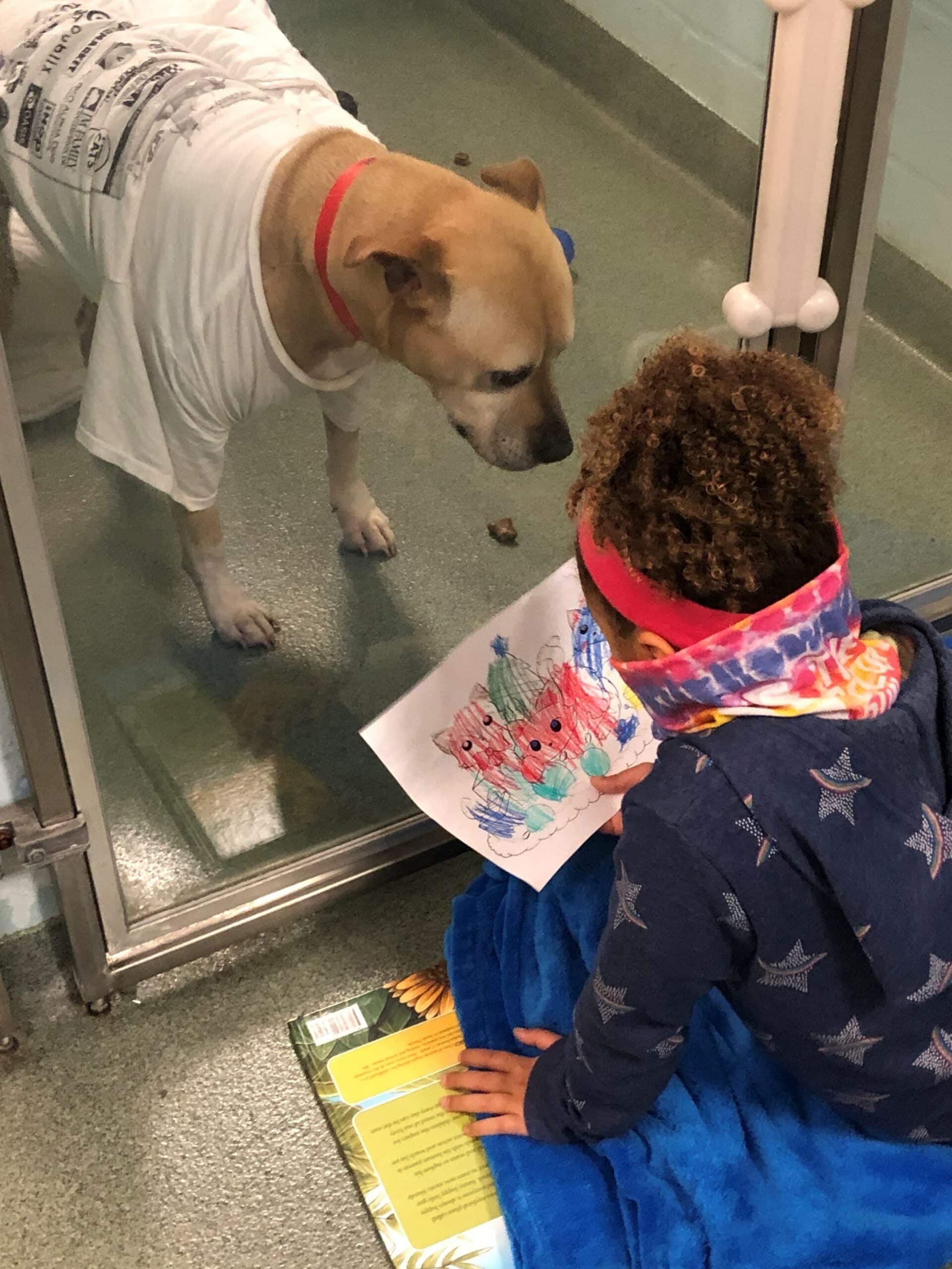 Dogs Reading Extract The Quiet Magic of Reading to a Dog