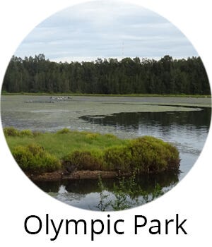 Olympic Park Olympic Park