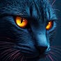 AIintelRadar's avatar