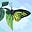 Beza Abrham's avatar