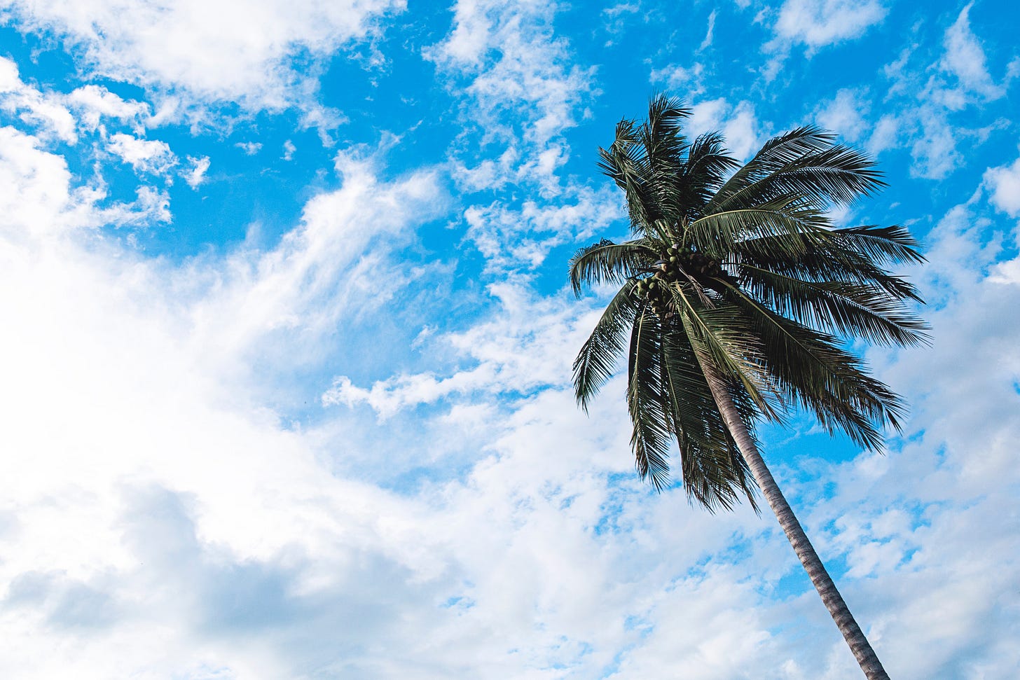 peter-hershey-113748-unsplash peter-hershey-113748-unsplash
