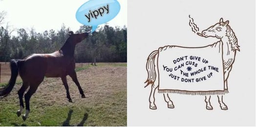 left: a horse leaping with a thought bubble that says 'yippy'; right: an illustrated horse wearing a banner that says, "don't give up, you can cuss the whole time, just don't give up"