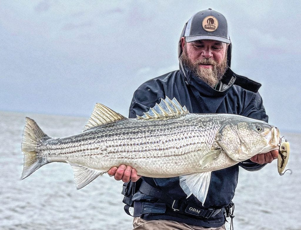 Nick Criaris spring striper on Scabelly Glider