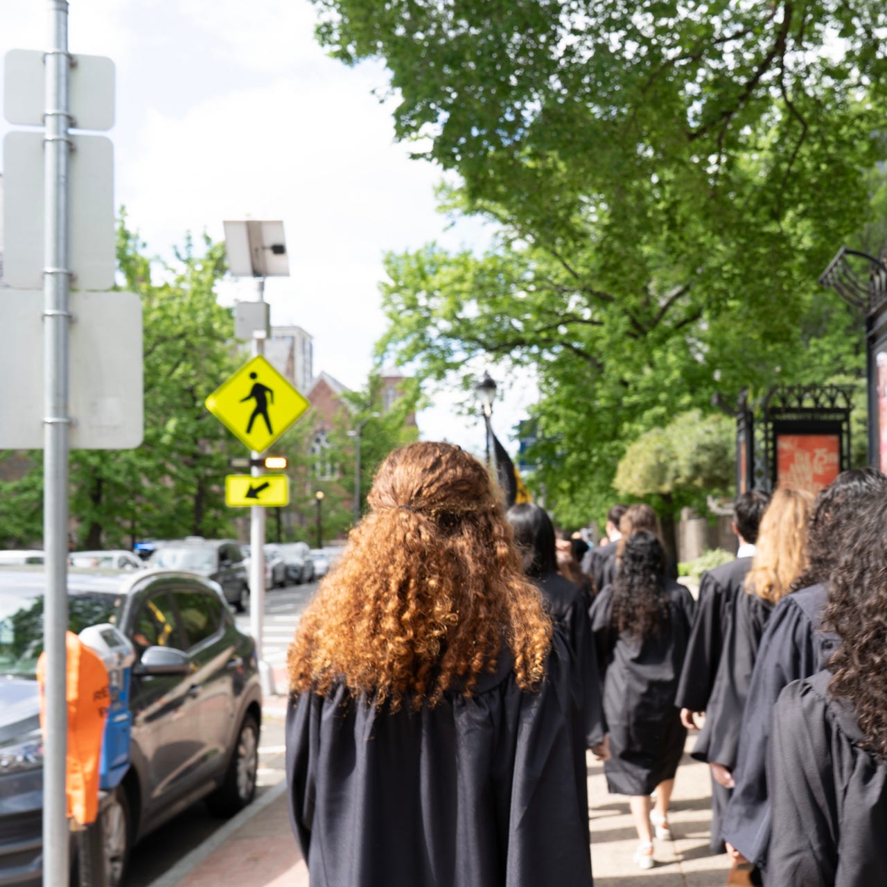 The Post-Grad Diaries