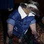 Ryan Marett's avatar