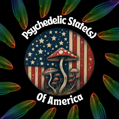 Psychedelic State(s) of America