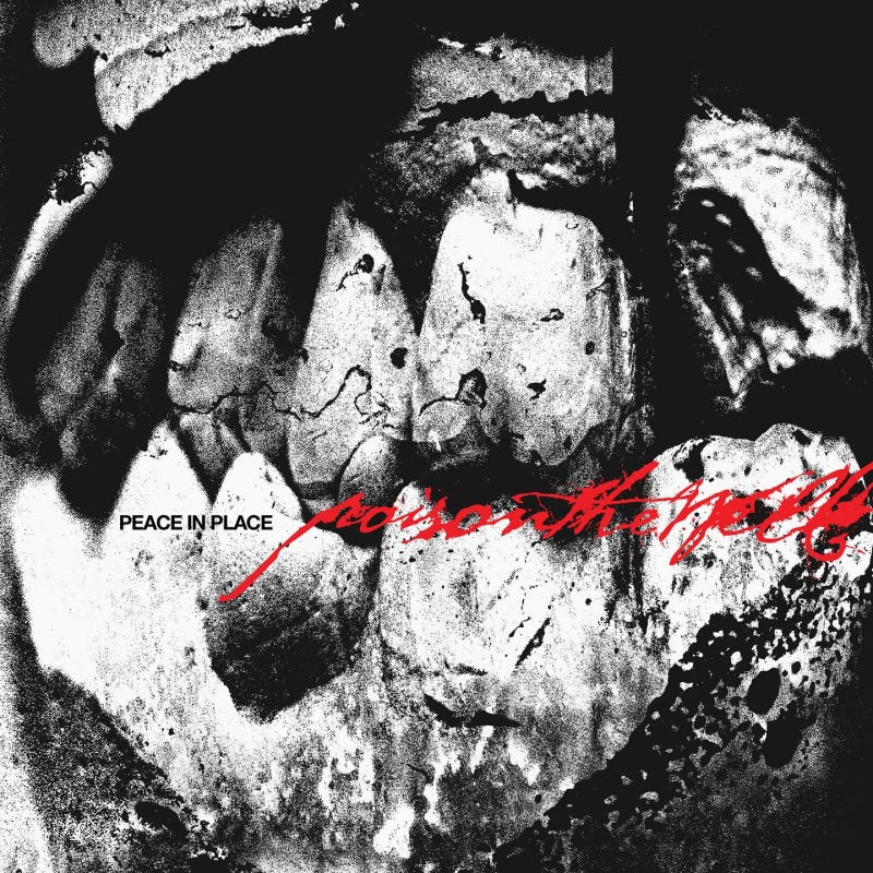 Poison The Well - Peace In Place, 21,99 € Poison The Well - Peace In Place, 21,99 €