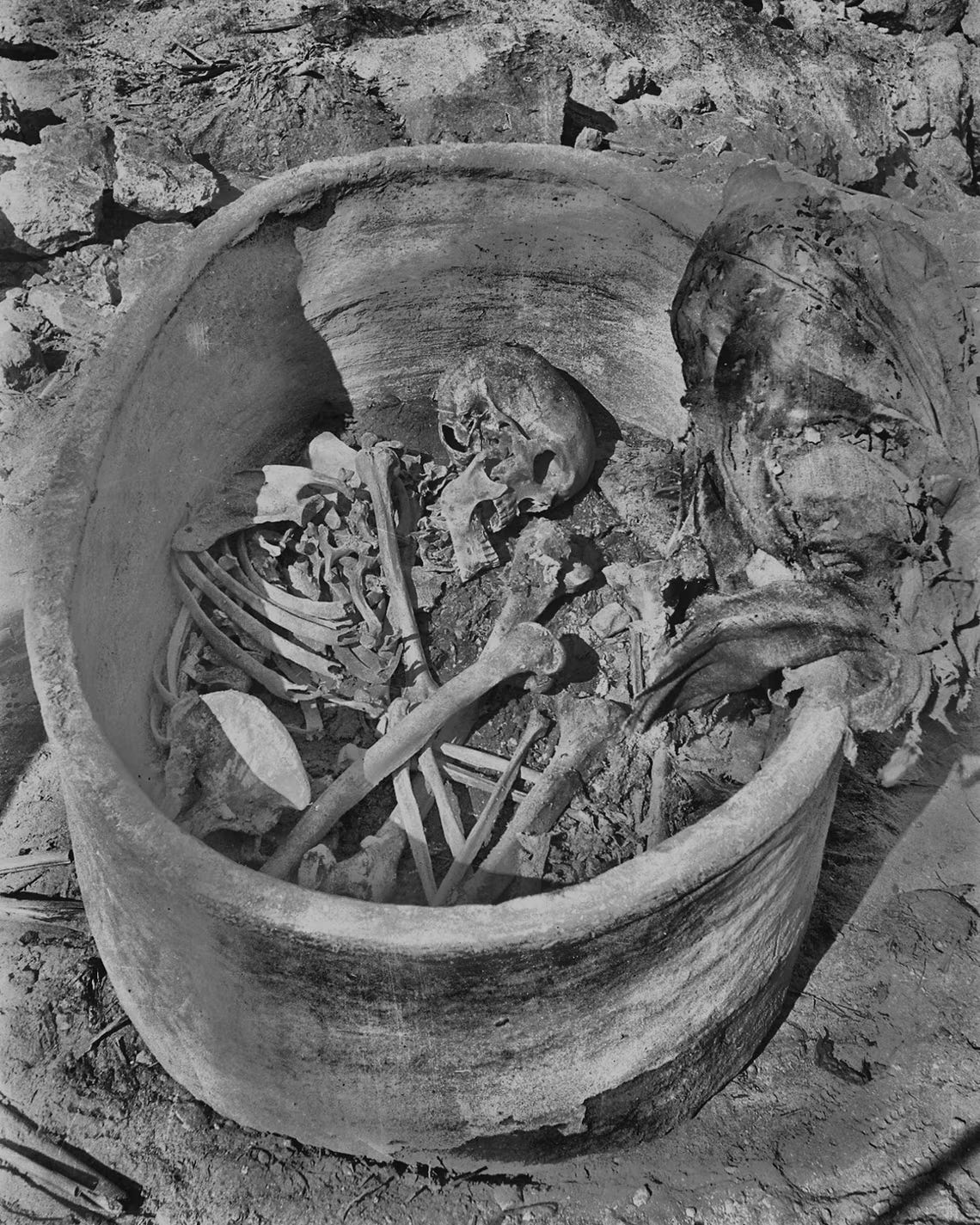 Buried in Clay, Bound by Genes: A 4,500-Year-Old Egyptian and His