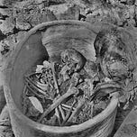Anthropology.net