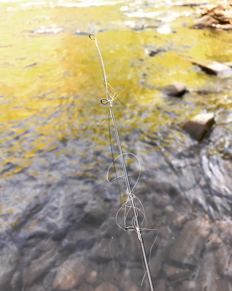 Pictures of man and woman untangling fly line from trees and rods.
