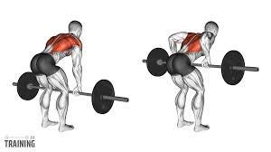 Barbell Row - Instructions, Information ...