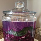 30 Reasons To Make Your Own Sauerkraut and Include a Daily Forkful In Your Diet (and a basic recipe from my book to make your own at home).
