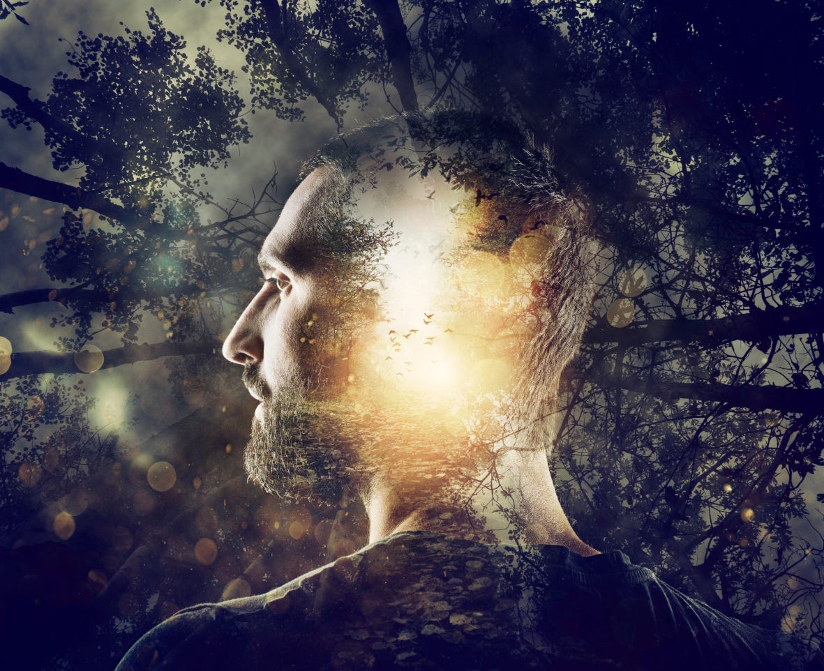 Disidentification From the Emotions and the Body, by Roberto Assagioli