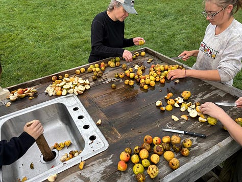 several people cut and press pears and apples harvested from the farm