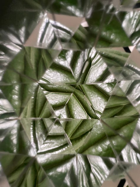 Photos of plants, stickers, pantry items through a kaleidoscope