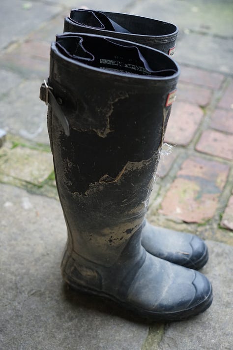 Wellington boots