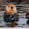 Sea Otter's avatar