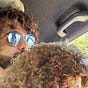 Marcelo Cavazzoli's avatar