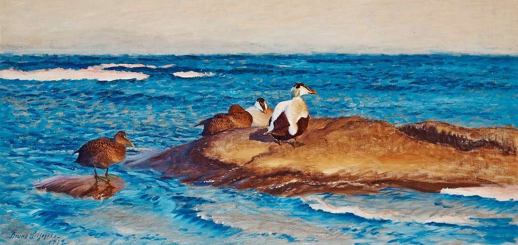 A vivid oil painting by Bruno Liljefors from 1912 titled Eiders on a Rock. The scene depicts four eider ducks resting on rocky outcrops in a deep blue coastal sea. One male eider with striking black-and-white plumage stands prominently on the main rock, while three brown-feathered females sit or stand nearby, one on a smaller rock. The ocean ripples around them, painted in rich, textured blues, with small waves breaking gently in the distance under a pale sky. A vivid oil painting by Bruno Liljefors from 1912 titled Eiders on a Rock. The scene depicts four eider ducks resting on rocky outcrops in a deep blue coastal sea. One male eider with striking black-and-white plumage stands prominently on the main rock, while three brown-feathered females sit or stand nearby, one on a smaller rock. The ocean ripples around them, painted in rich, textured blues, with small waves breaking gently in the distance under a pale sky.