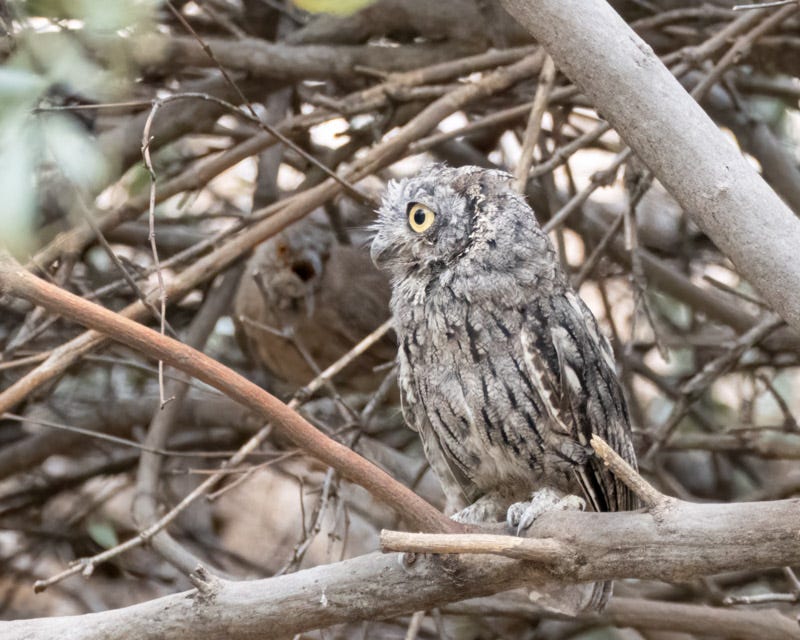 20250811-mby-69-Edit.jpg 20250811-mby-69-Edit.jpg