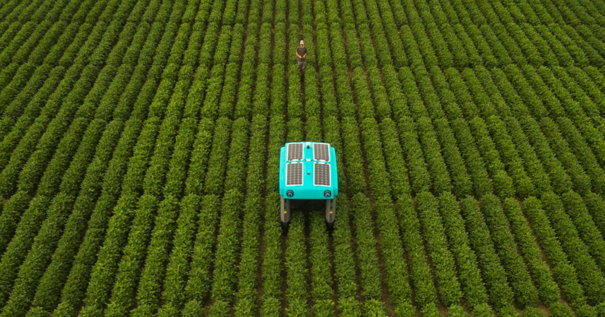 https://wp-assets.futurism.com/2020/10/google-alphabet-building-farming-robot.jpg