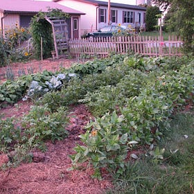 Start next year's garden now