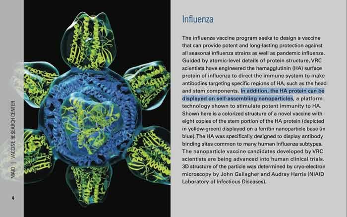 influenza