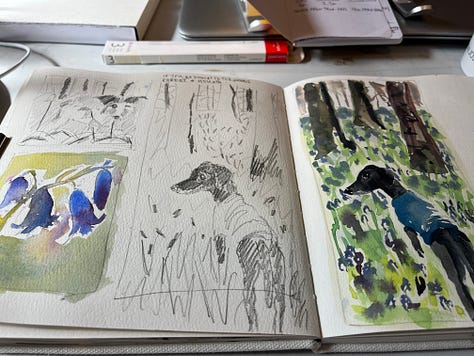 Examples from a Brush & Wander Session with Jo Scott