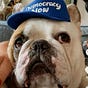 Bridget Dooley's avatar