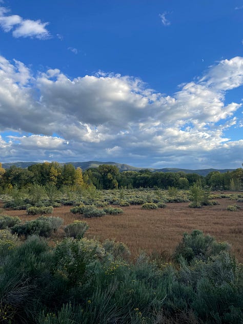 Landscapes and a picture of a purse in a bookshop