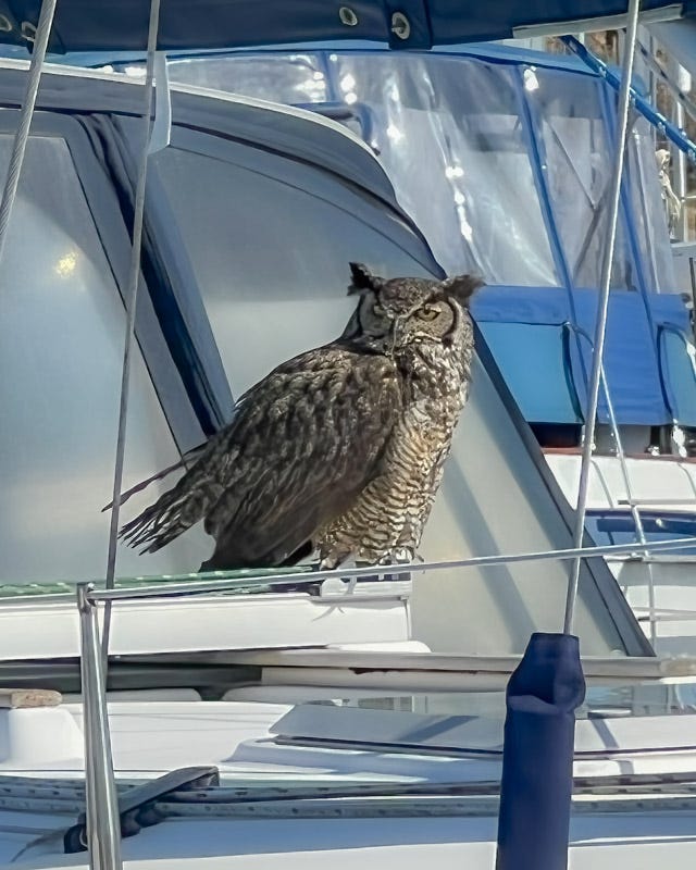 20250614-Levi-Edit 2.jpg 20250614-Levi-Edit 2.jpg