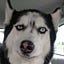 User's avatar