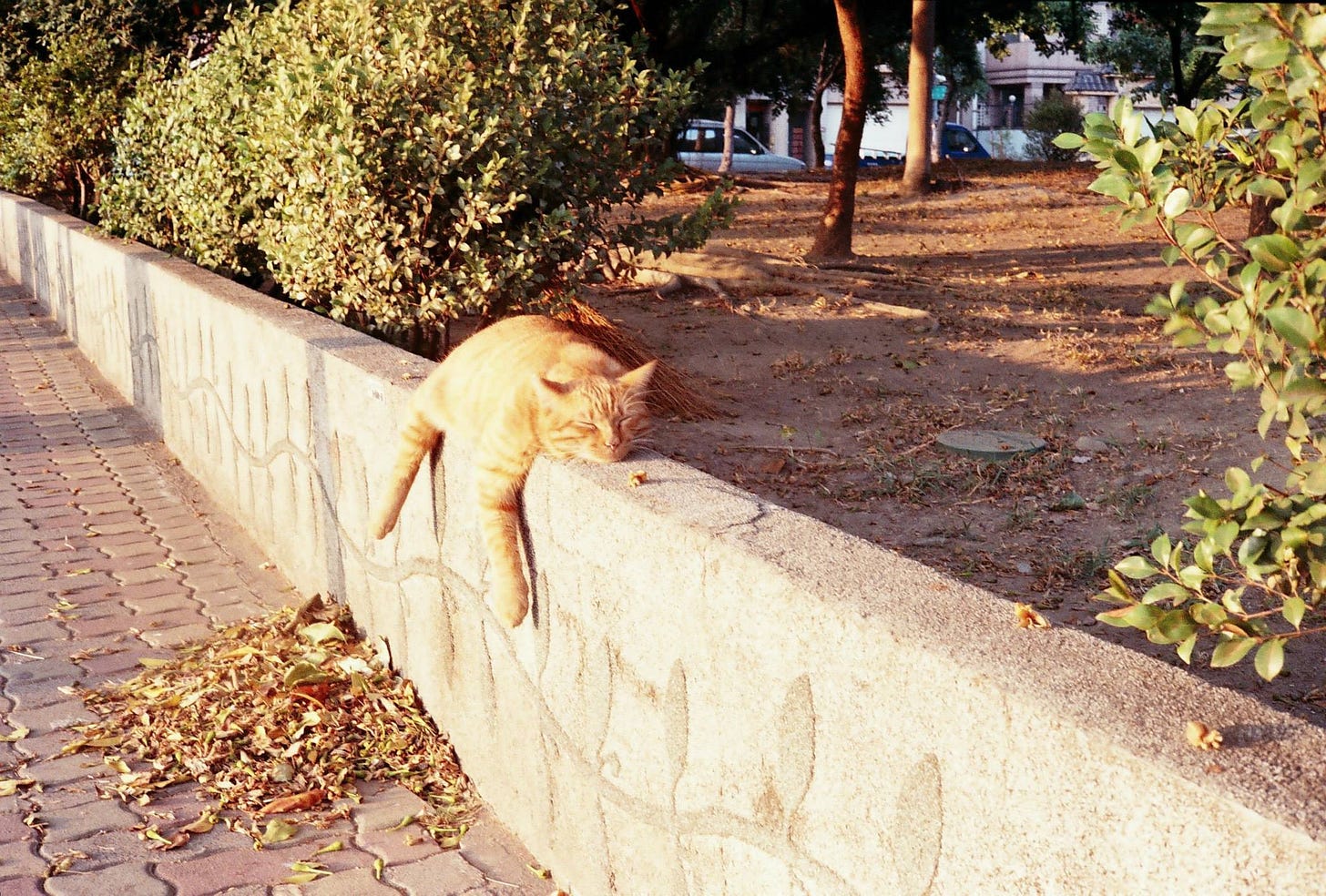 未提供相片說明。 未提供相片說明。