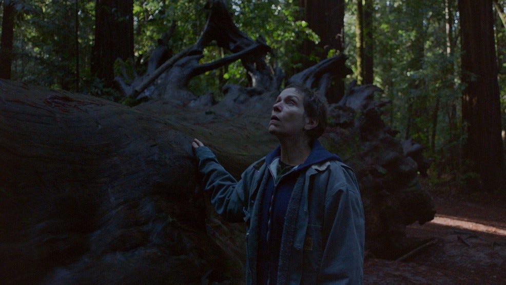 Review: 'Nomadland' named 2020's Best Picture by Seattle Film Critics  Society | Seattle Refined