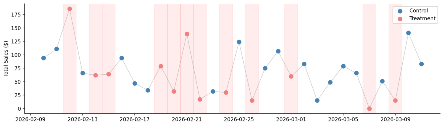 Randomized daily switchback schedule across the experiment window