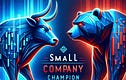 πSmall Company Champion