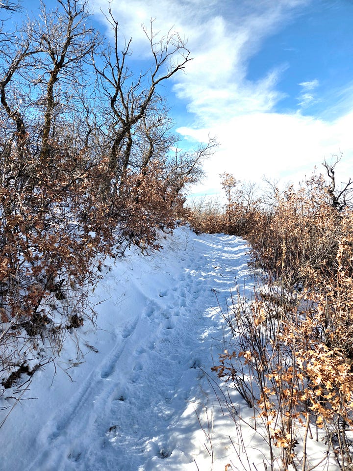 Ridgeline Open Space