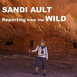 Sandi Ault - Reporting from the WILD