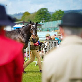 Judges confirmed for 2024 Balmoral Show