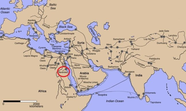 From ceramics to connectivity. Berenike and the Indian Ocean Trade ...