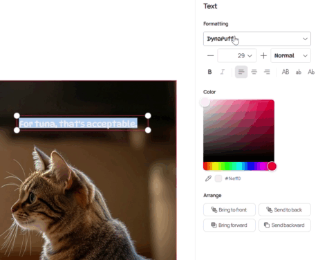 The Text tool is simple to use and intuitive. 