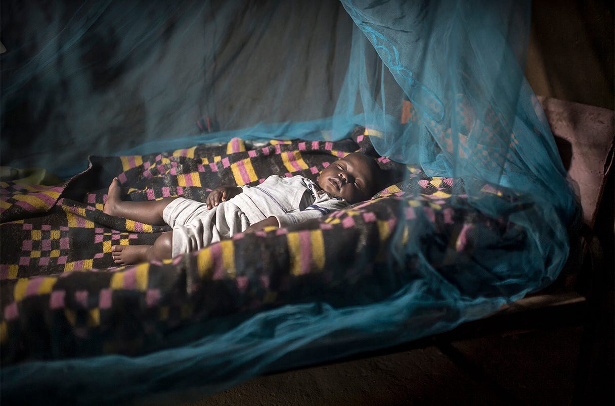 A child sleeping beneath a mosquito net. A child sleeping beneath a mosquito net.