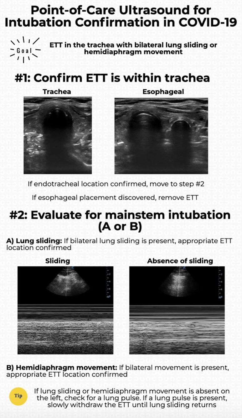 An external file that holds a picture, illustration, etc.
Object name is WJEM-21-1042-g001.jpg