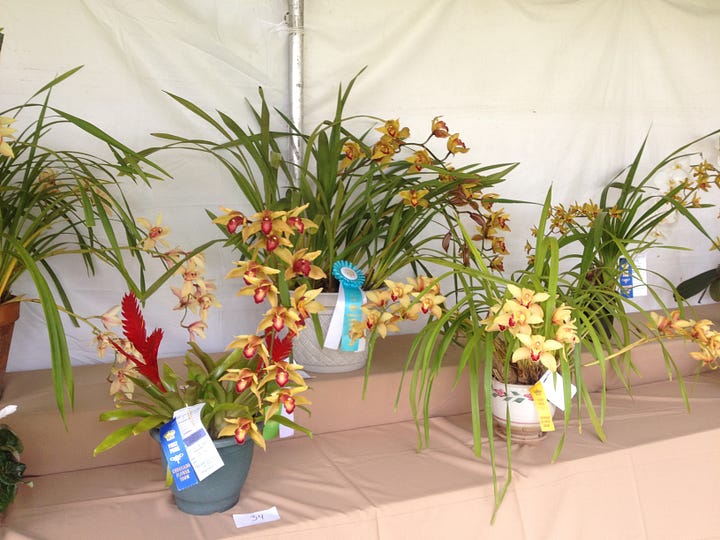 Rose, table design, orchids, bonsai