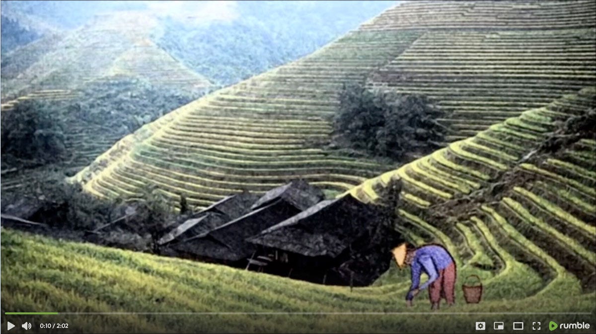 The Chinese Farmer (Maybe) by Alan Watts The Chinese Farmer (Maybe) by Alan Watts