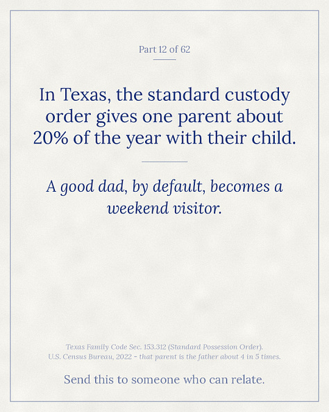 Blue-ink illustration ending on the stat card: the standard custody order gives one parent about 20% of the year.