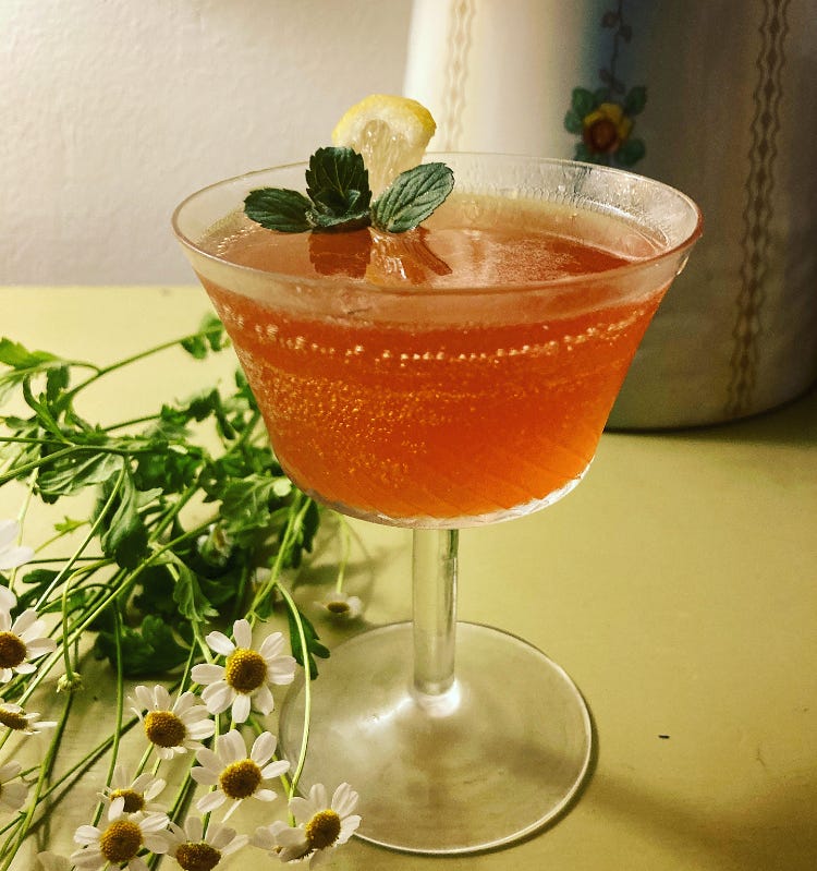 The Spirits #62: The Brandy Daisy - by Richard Godwin