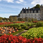 The elite fantasy of 'The Kitchen Garden'